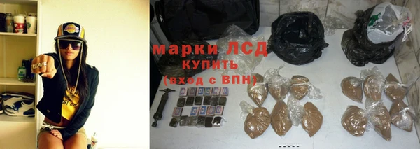 индика Аркадак
