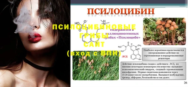 прущий лед Армянск