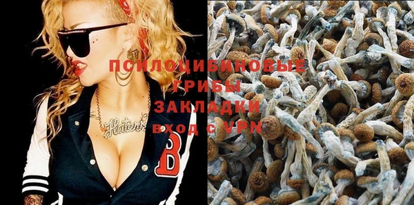дмт Арсеньев