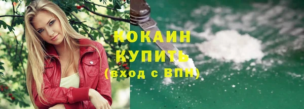 индика Аркадак