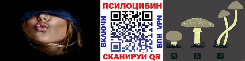 Псилоцибиновые грибы мицелий  Серафимович 